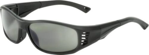 OnGuard Safety Glasses OnGuard 240S Black