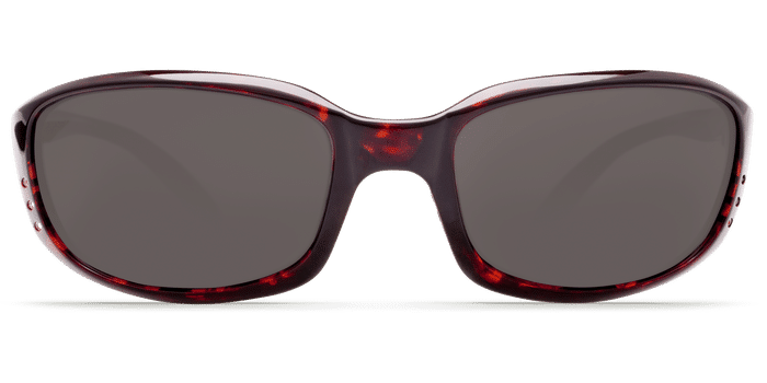 costa brine sunglasses