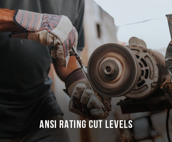 ANSI RATING CUT LEVELS