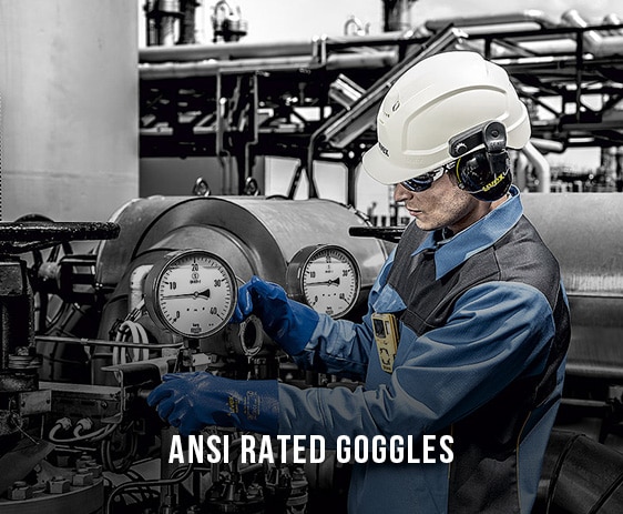 ansi rated goggles