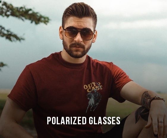 Polarized Glasses