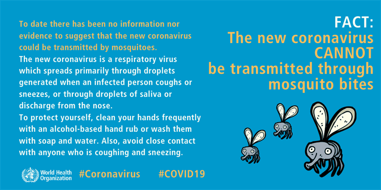 The new coronavirus CANNOT be transmitted through mosquito bites.