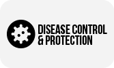 Disease Control and Protection Feature 1