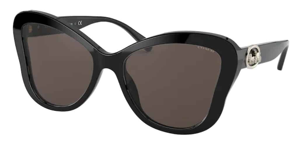 Coach HC8294 Sunglasses - SafetyGearPro.com