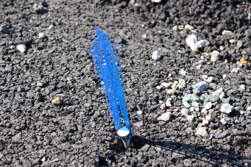 Presco Marking Whiskers Blue