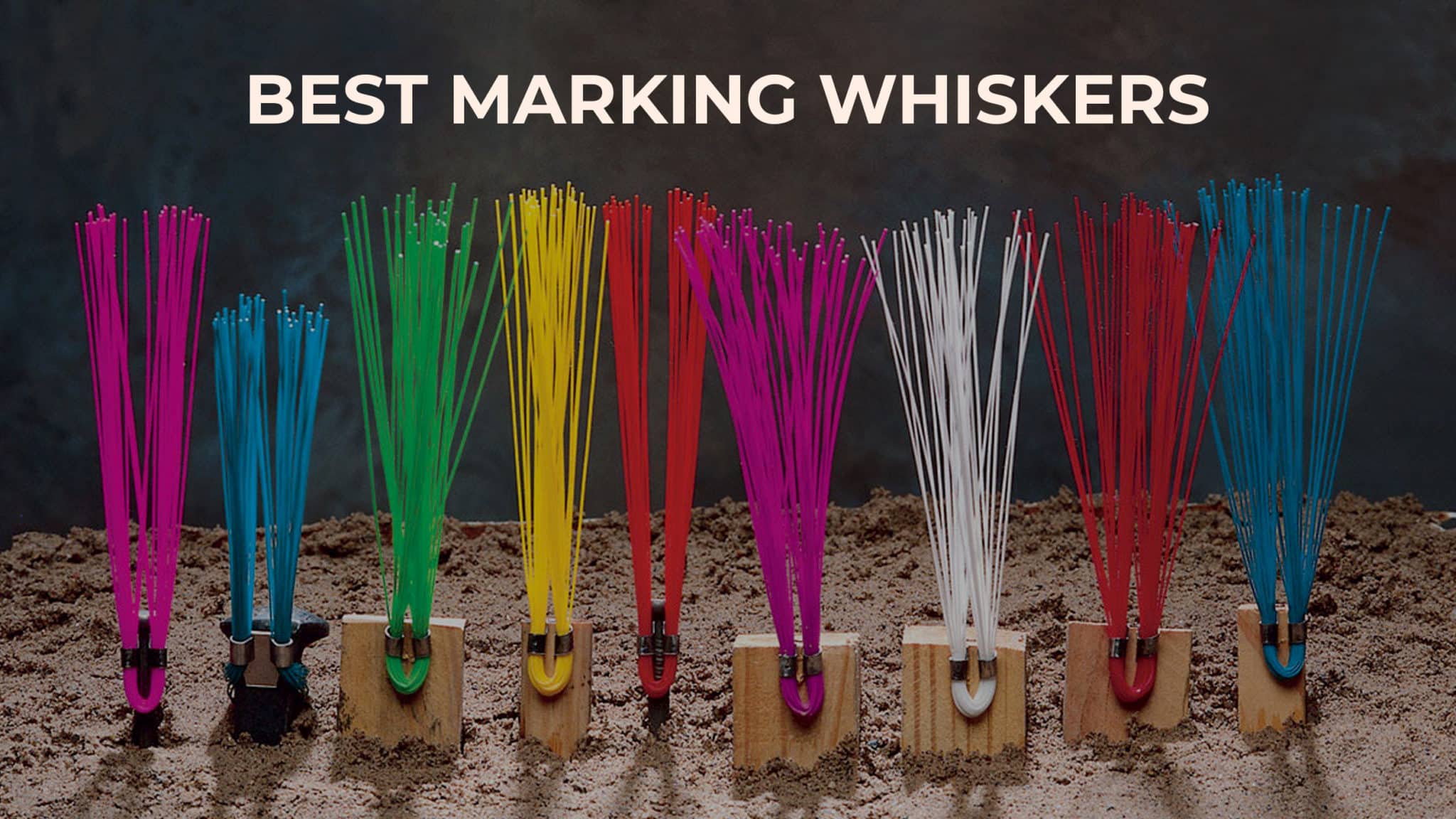 The 7 Best Marking Whiskers on the Market Safety Gear Pro